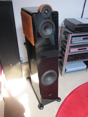 Usher 6381 floorstanding - cp-6381,
